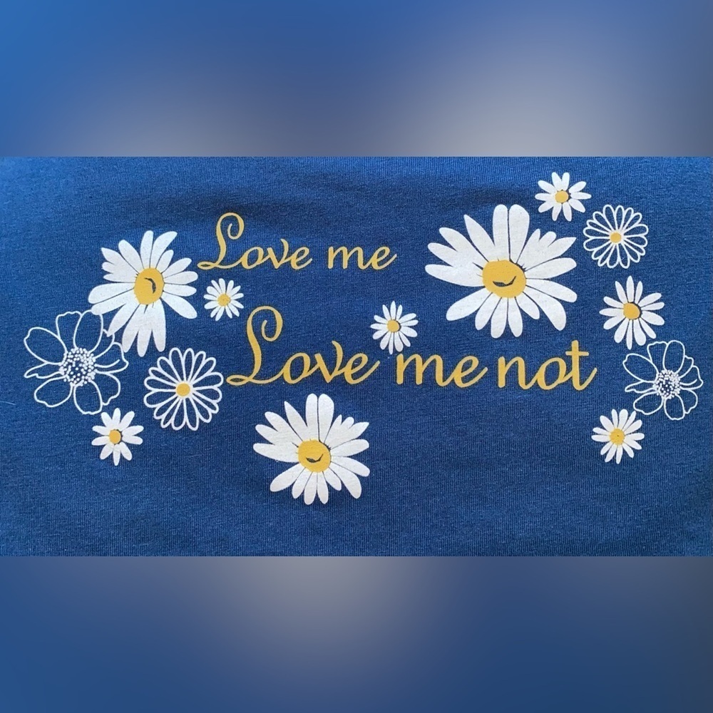 BLAIR daisy short sleeve crewneck blue white yellow soft tee T-shirt top size L